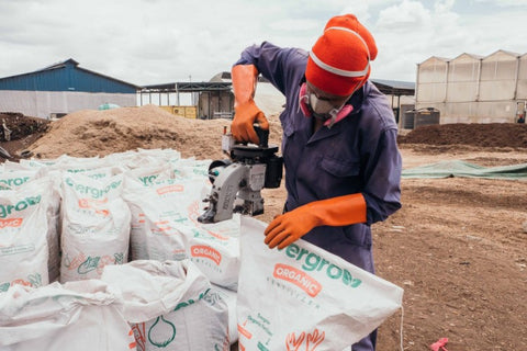 Bag closing machine nz
